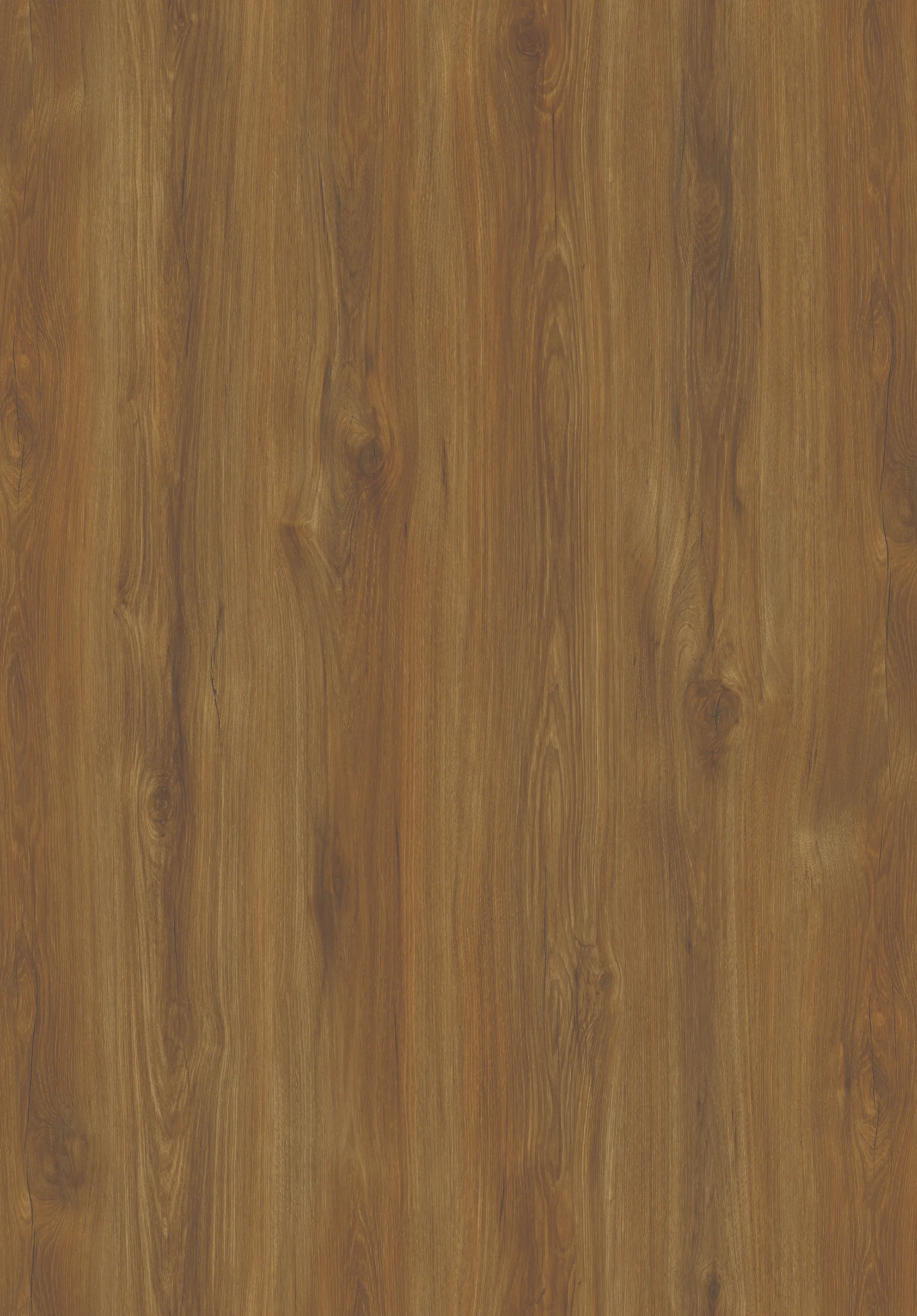 215 Oak